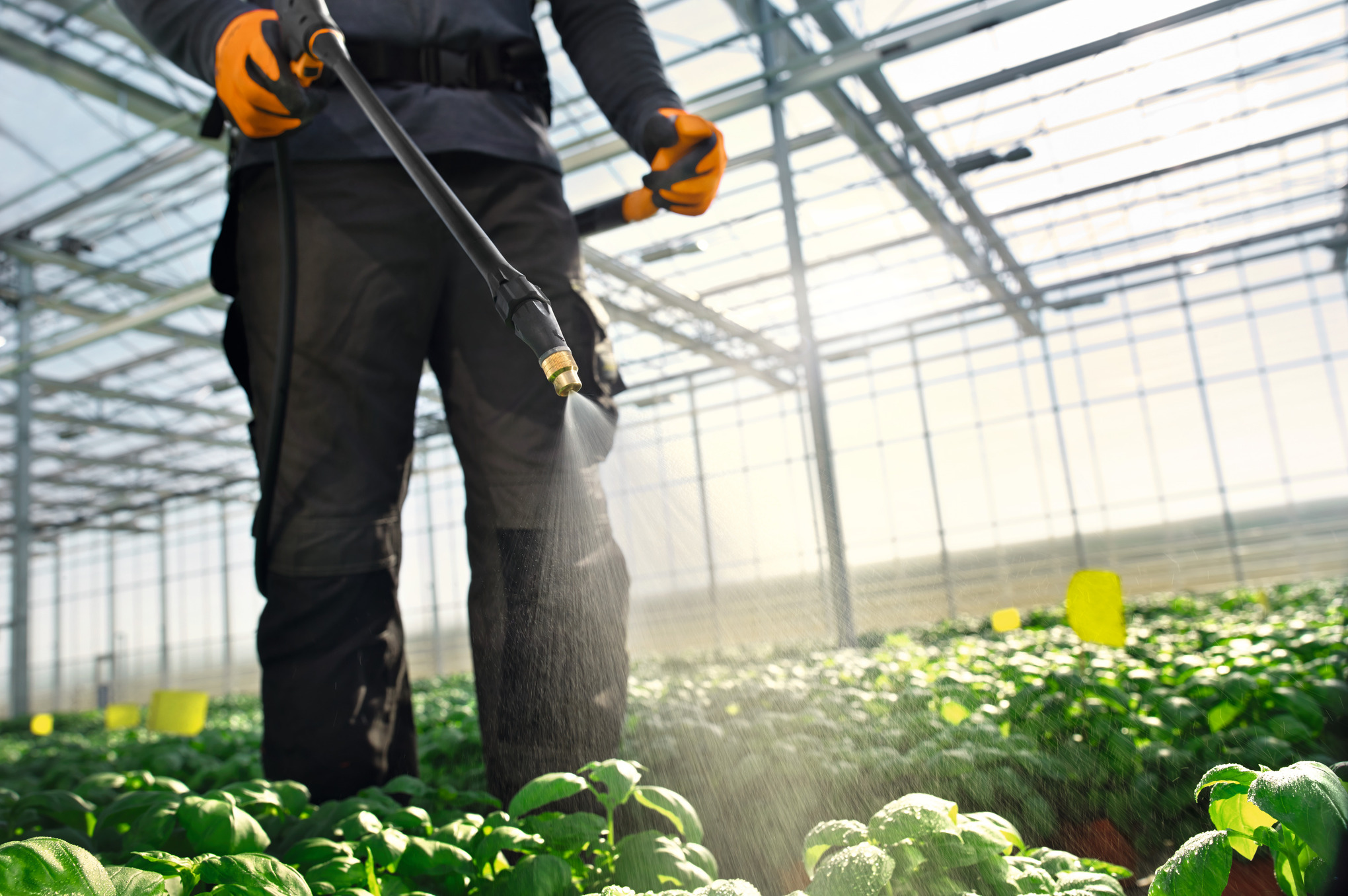 STIHL SG 71 Sprayer - Image 3