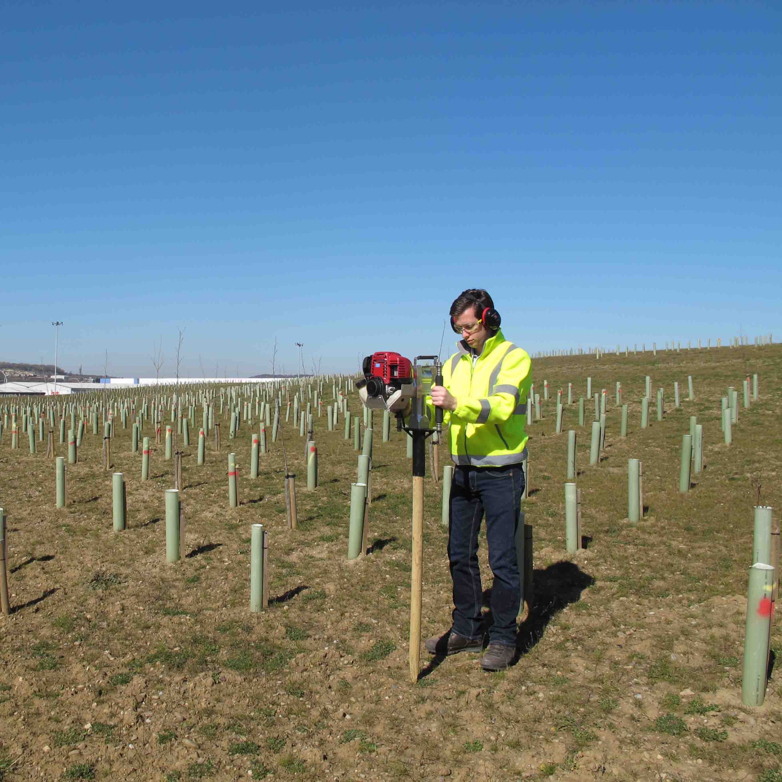 The Tree Planting Bundle - Image 6