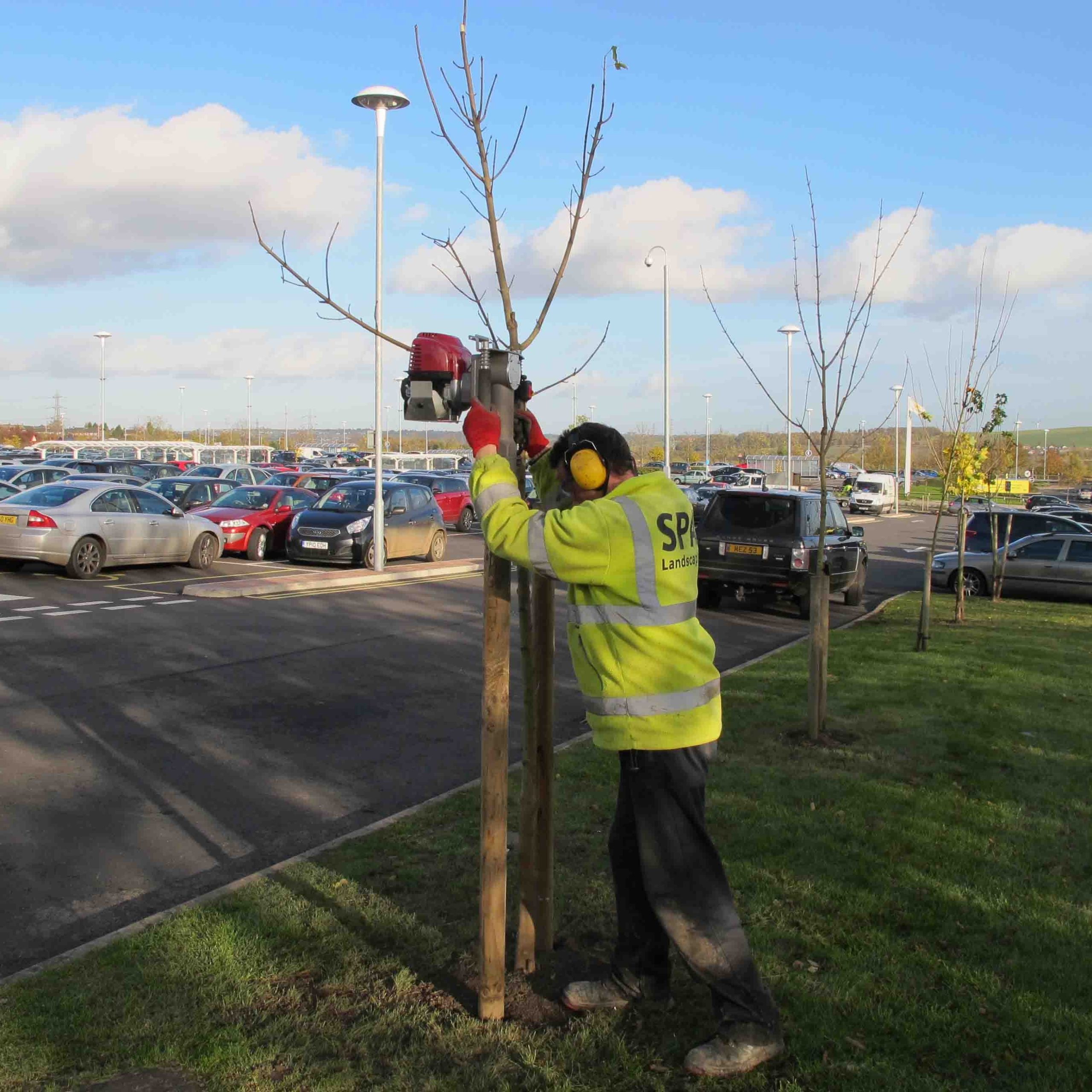 The Tree Planting Bundle - Image 5